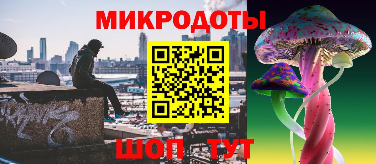 Псилоцибиновые грибы Psilocybine cubensis Тайшет