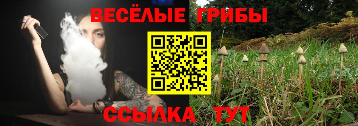 Псилоцибиновые грибы MAGIC MUSHROOMS  Вход с VPN  Тайшет  Галлюциногенные грибы Cubensis 